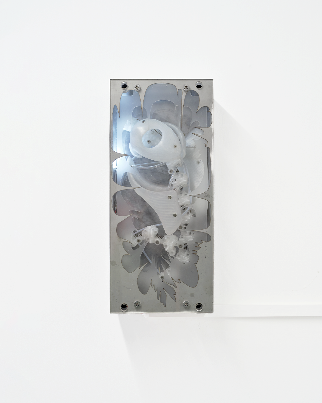 Prototype0037 DISK 2025.2.1