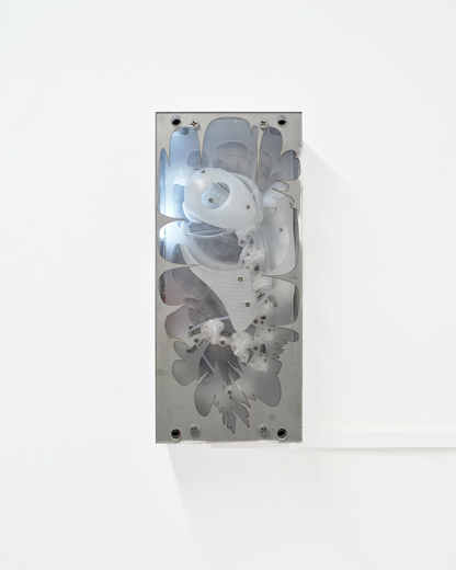 Prototype0037 DISK 2025.2.1