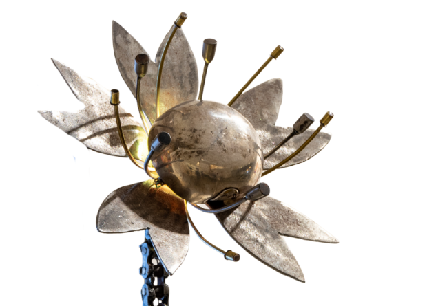 Plantoid14