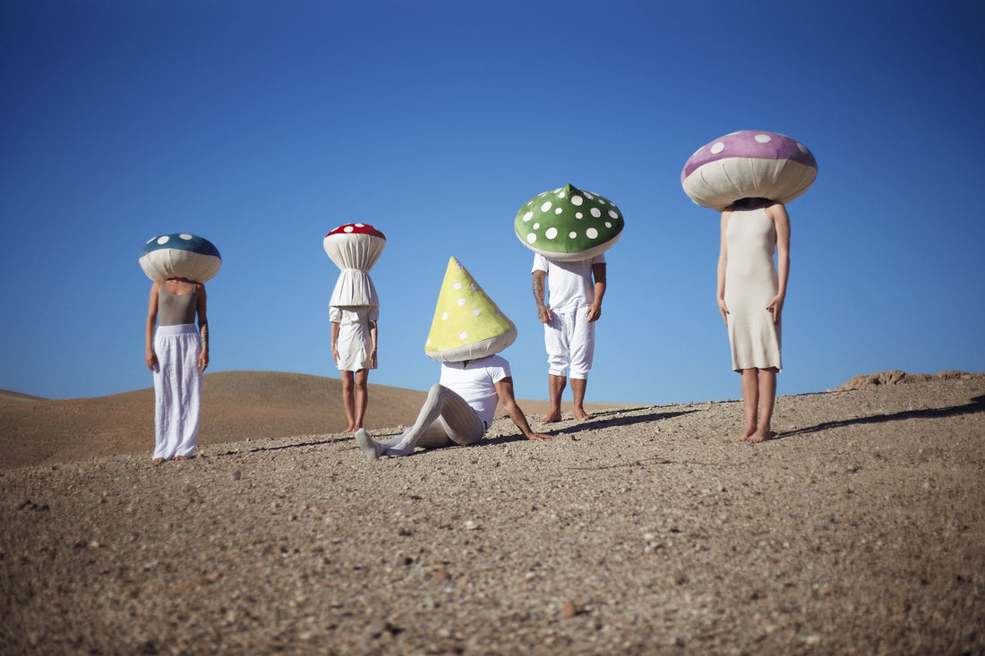 Inveterate Dreamers