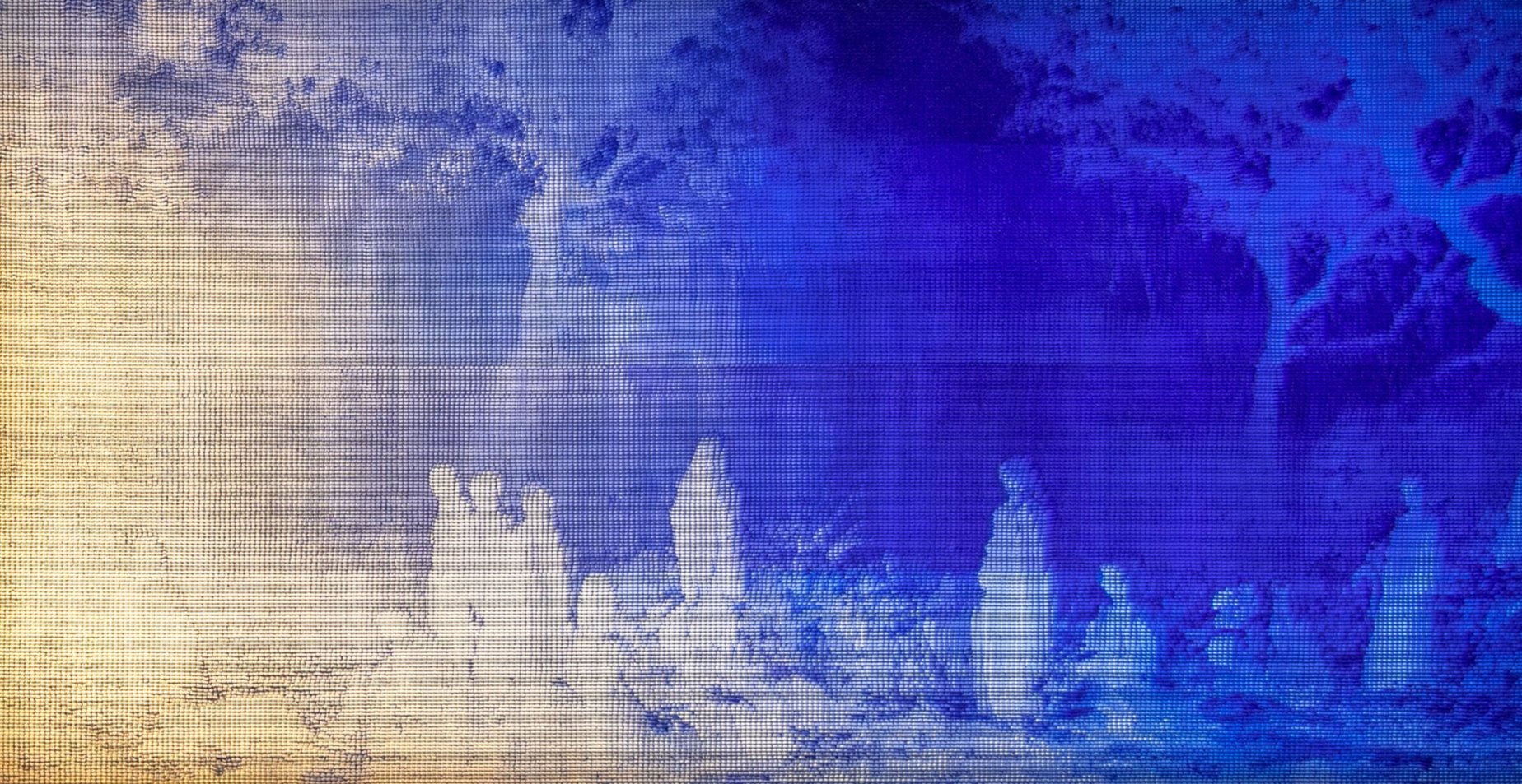 Coexistence 2